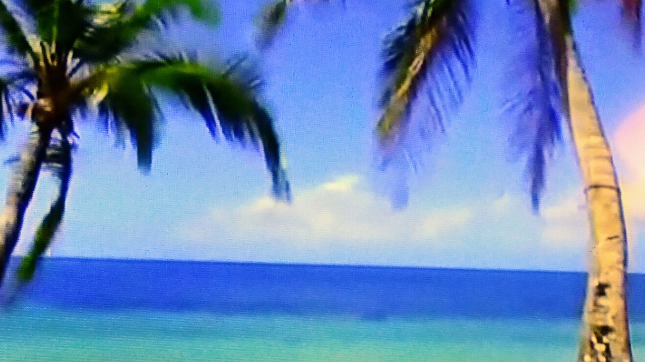 Photo of Others in Douglas