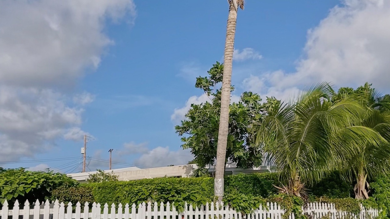 Photo of Outdoor in Spring Garden