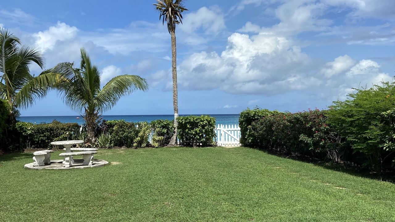 Photo of Outdoor in Spring Garden