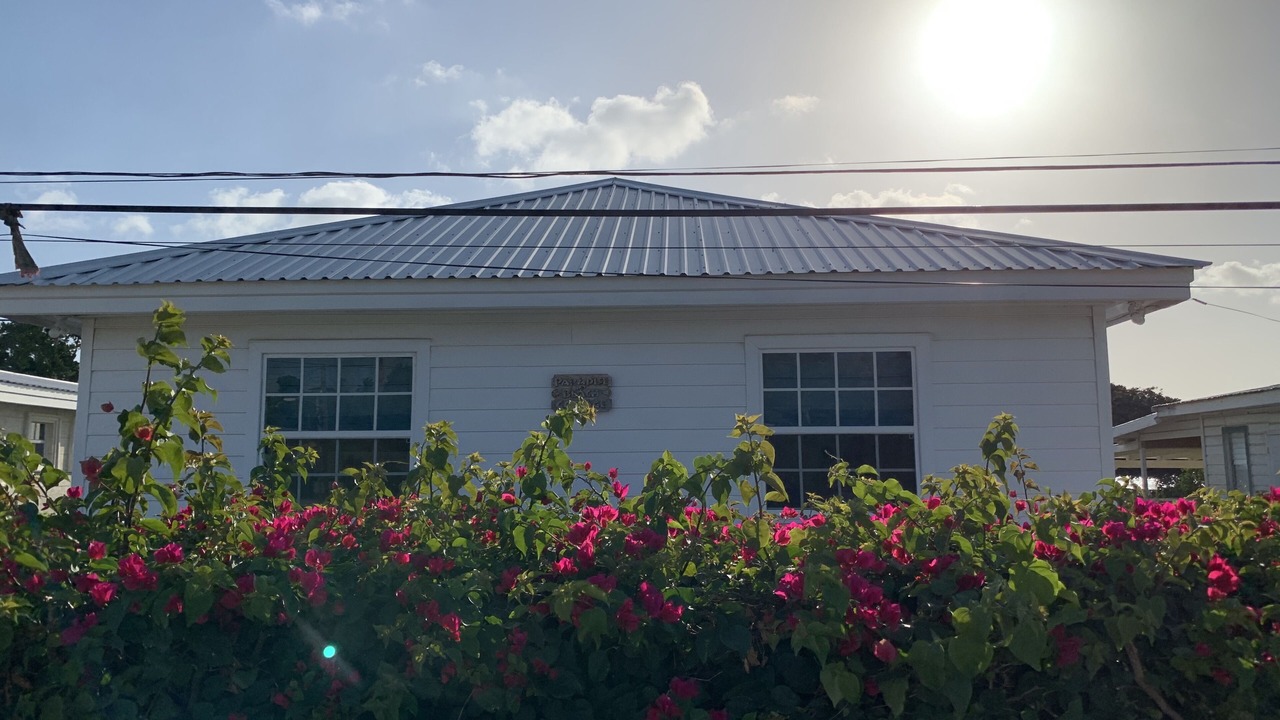 Photo of Outdoor in Spring Garden