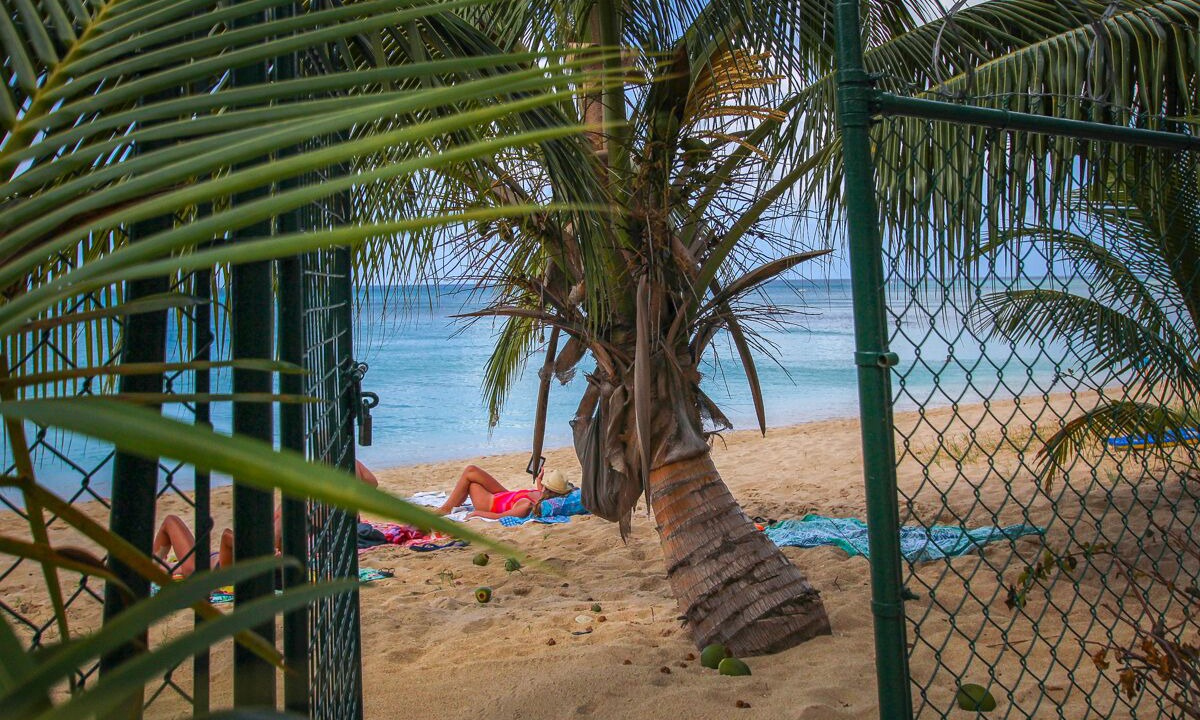 Photo of Others in Reeds Bay
