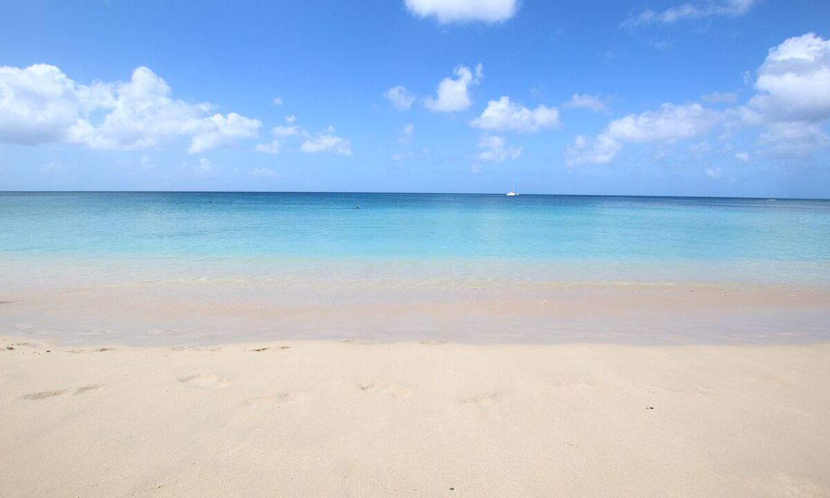 Photo of Others in Reeds Bay