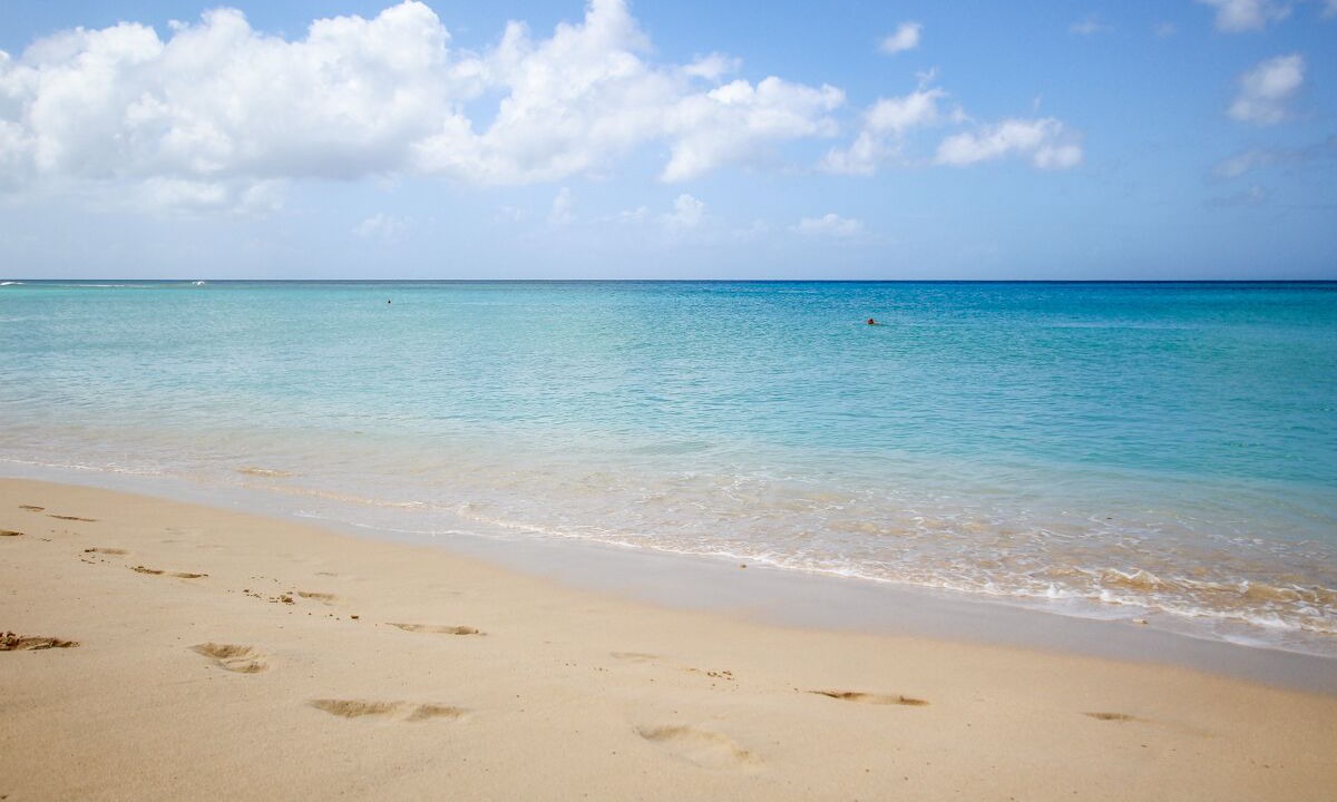 Photo of Others in Reeds Bay