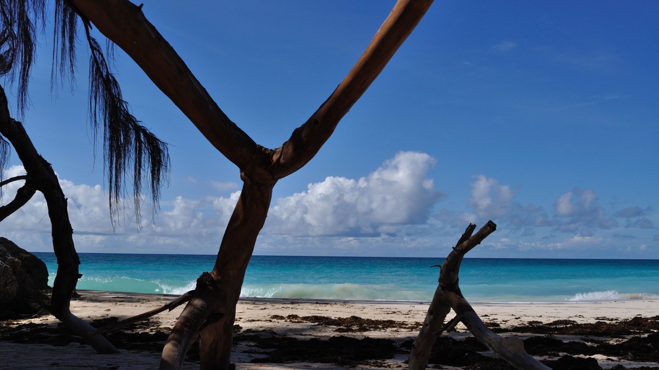 Photo of Others in Silver Sands