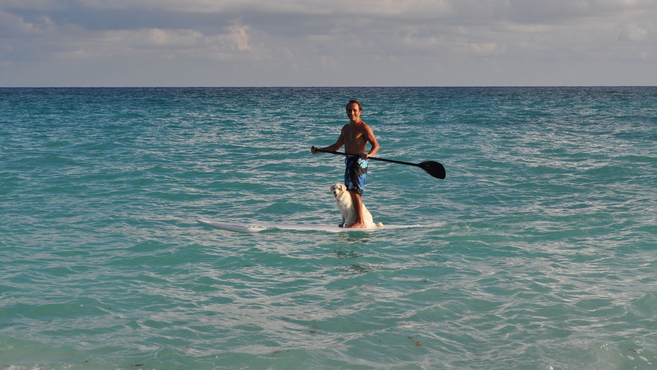 Photo of Others in Silver Sands