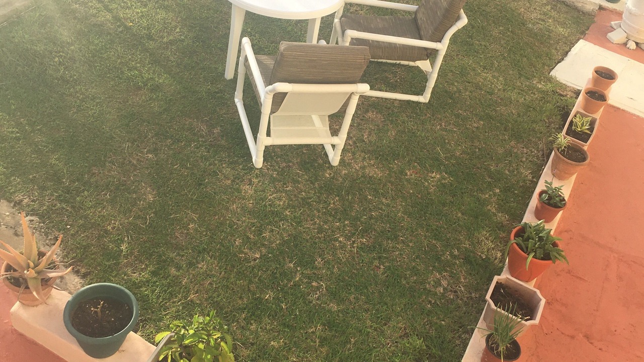 Photo of Outdoor in Durants