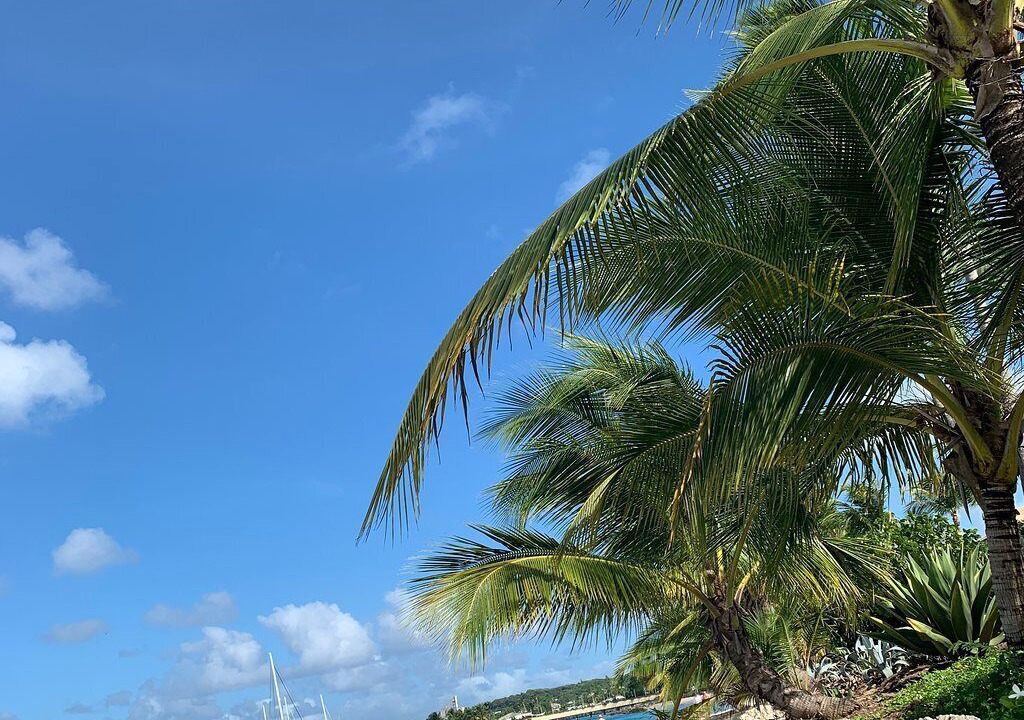 Photo of Others in Schooner Bay