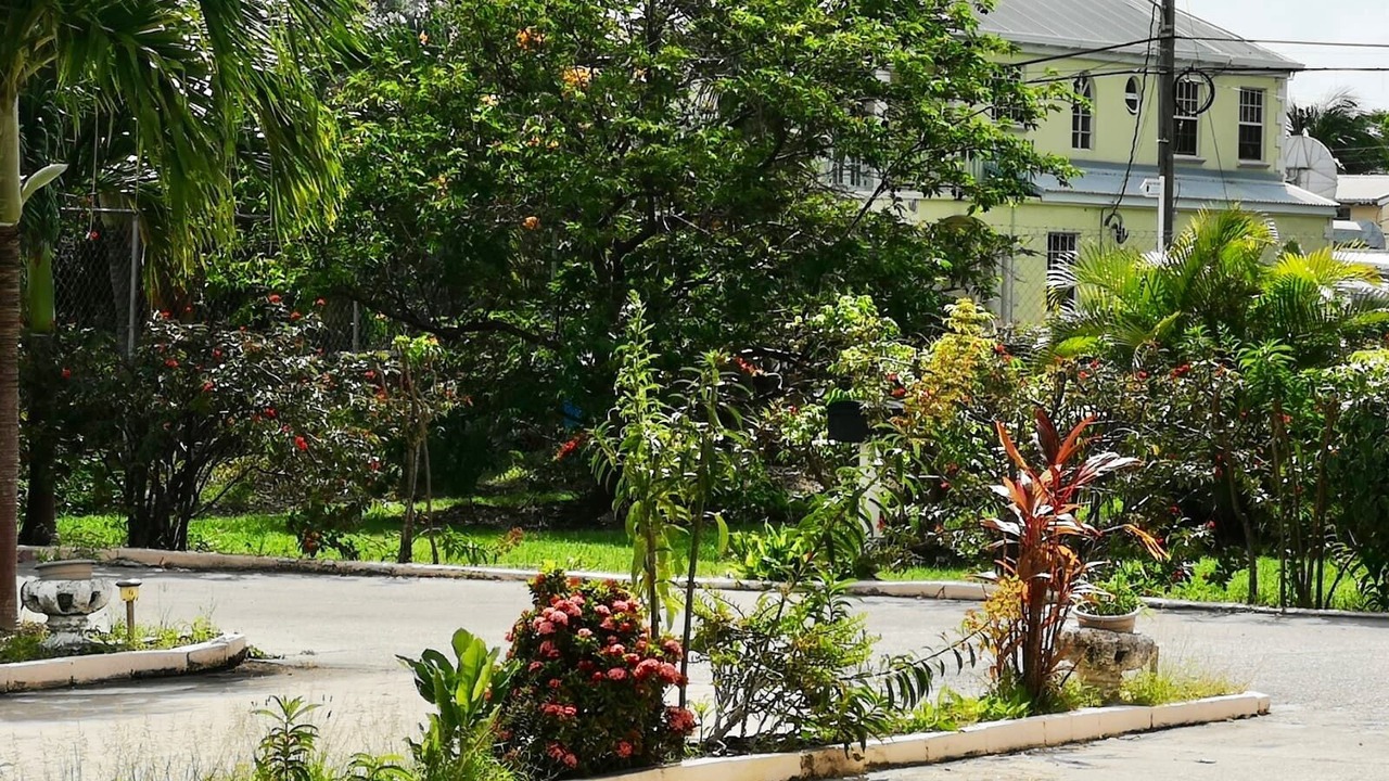 Photo of Outdoor in Blue Waters