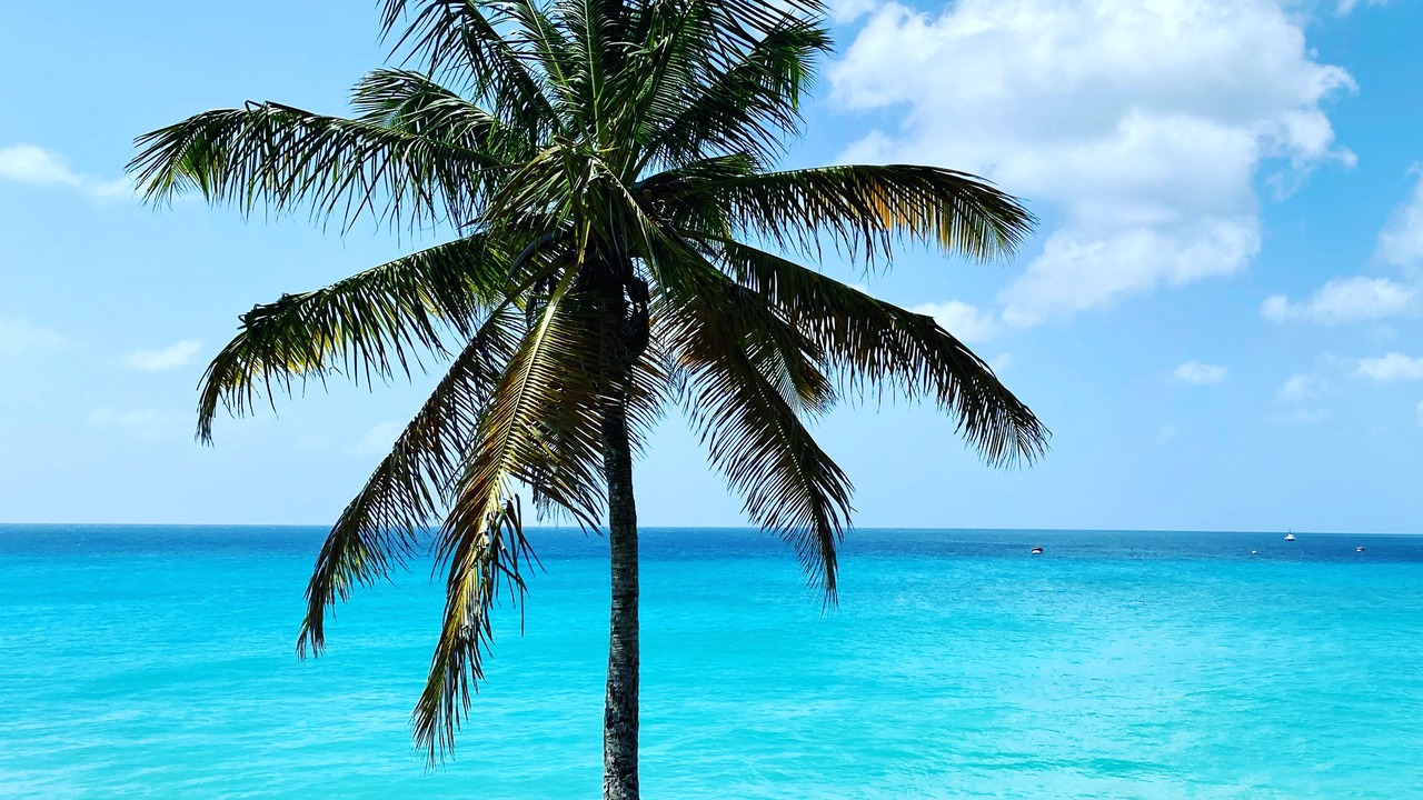 Photo of Others in Atlantic Shores