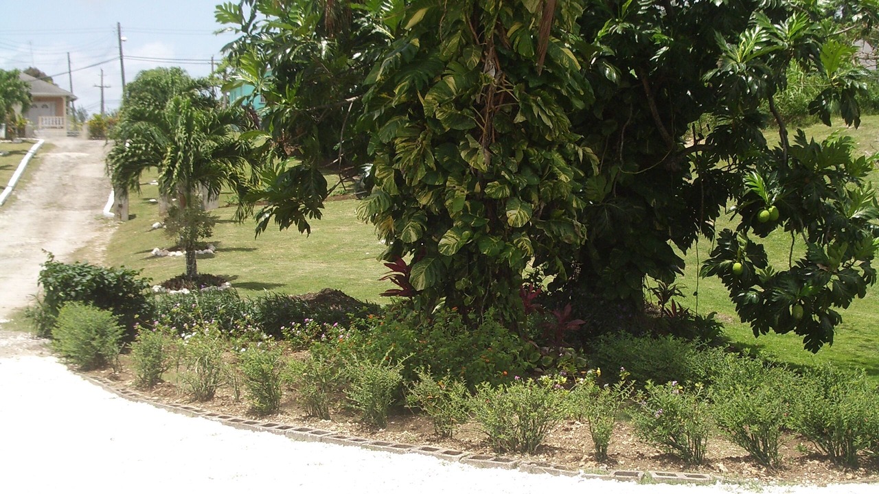 Photo of Outdoor in Westmoreland