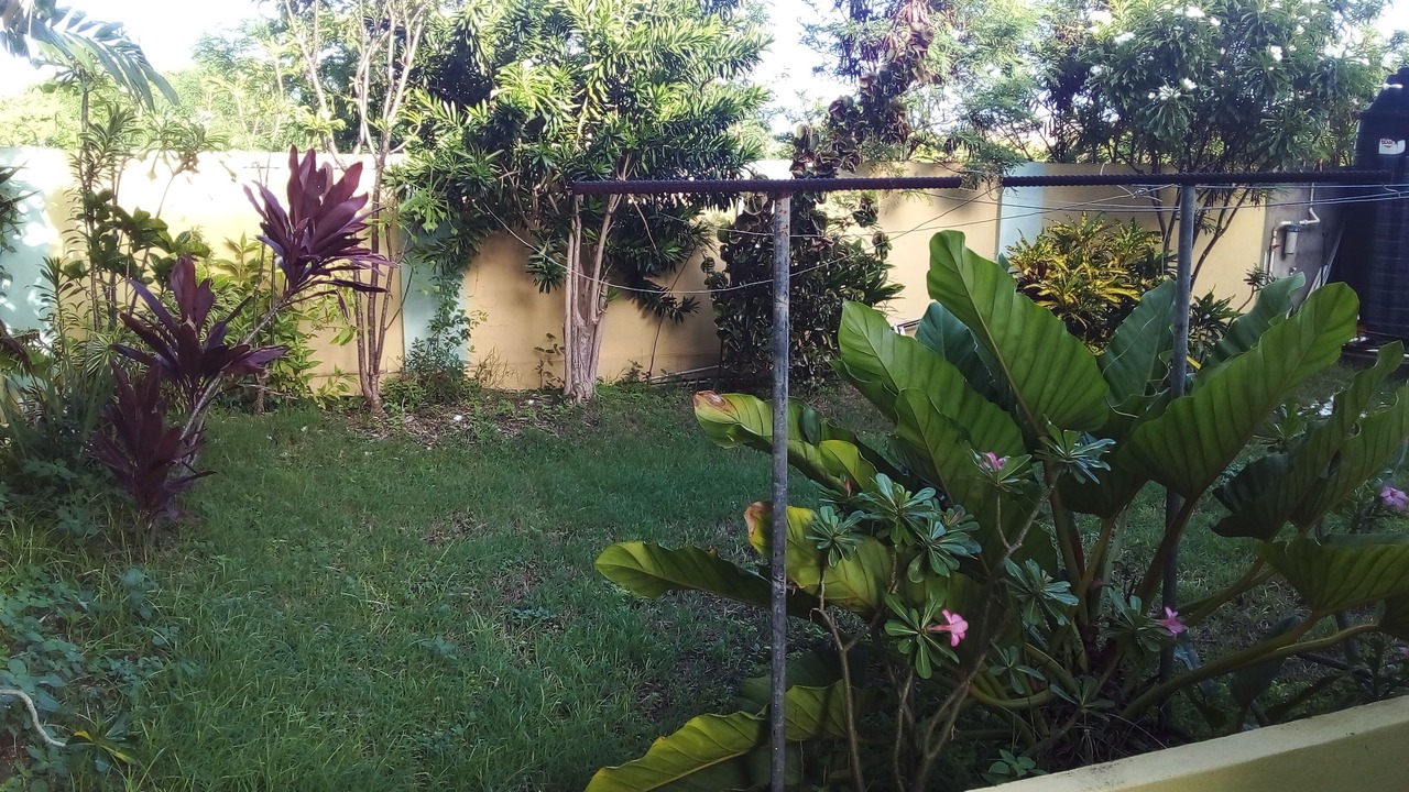 Photo of Outdoor in Atlantic Shores