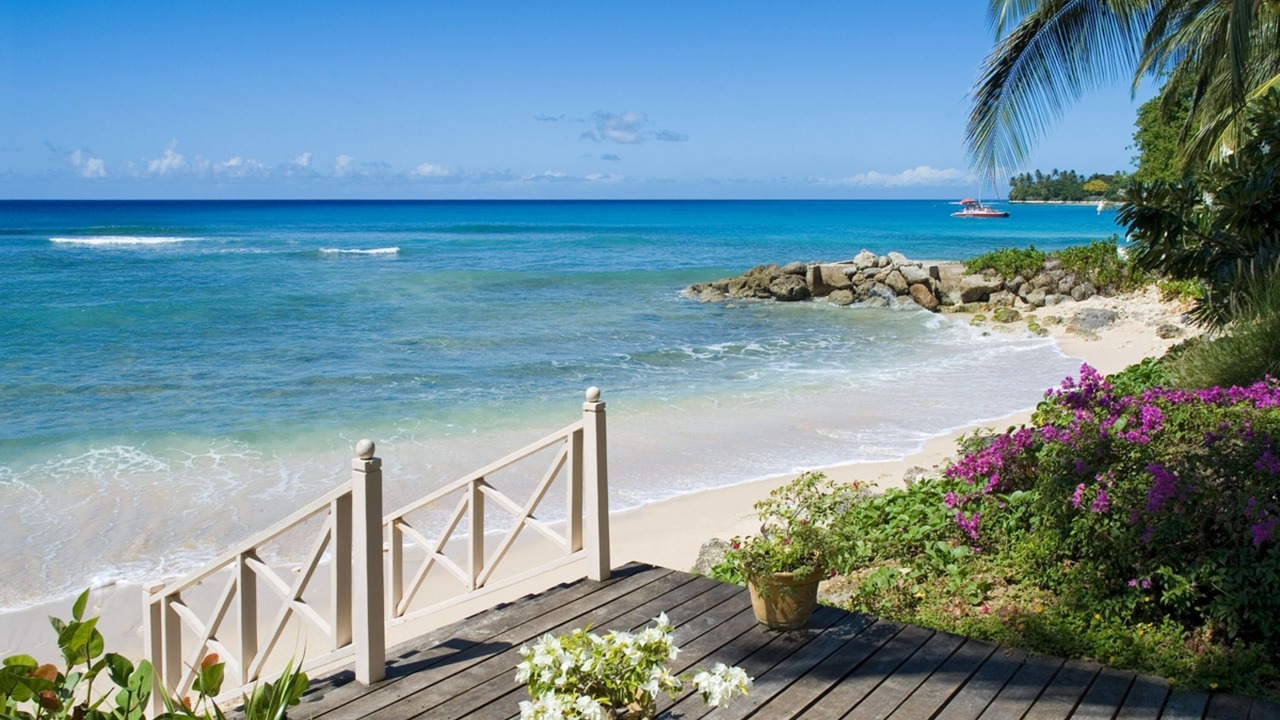 Photo of Others in Reeds Bay