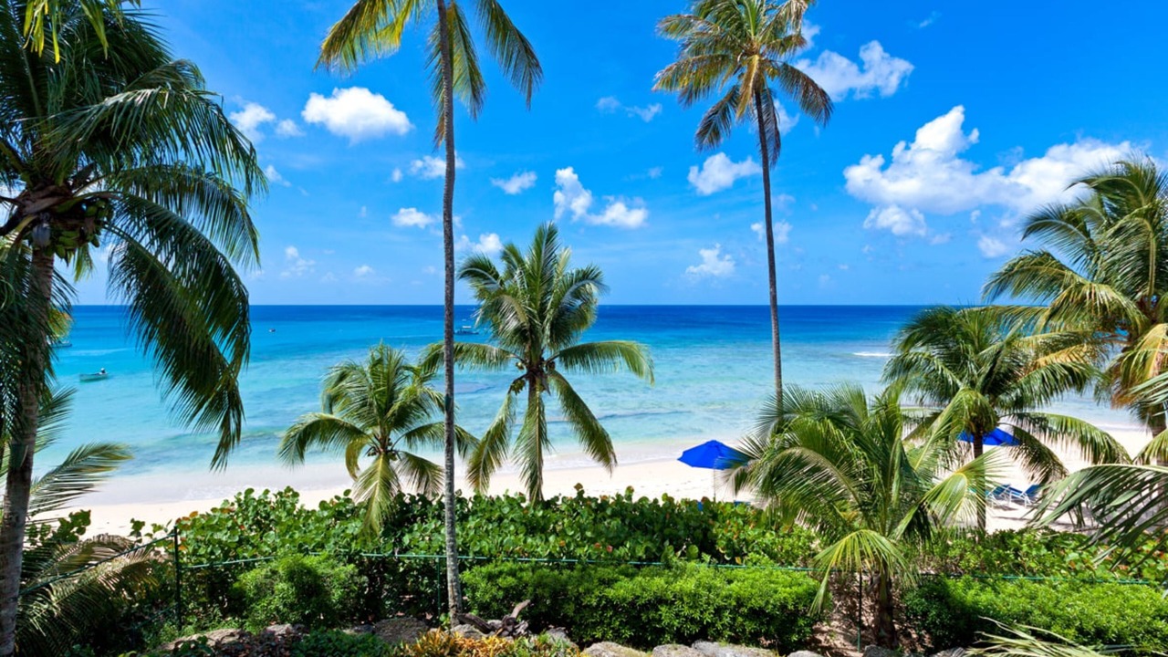 Photo of Outdoor in Schooner Bay