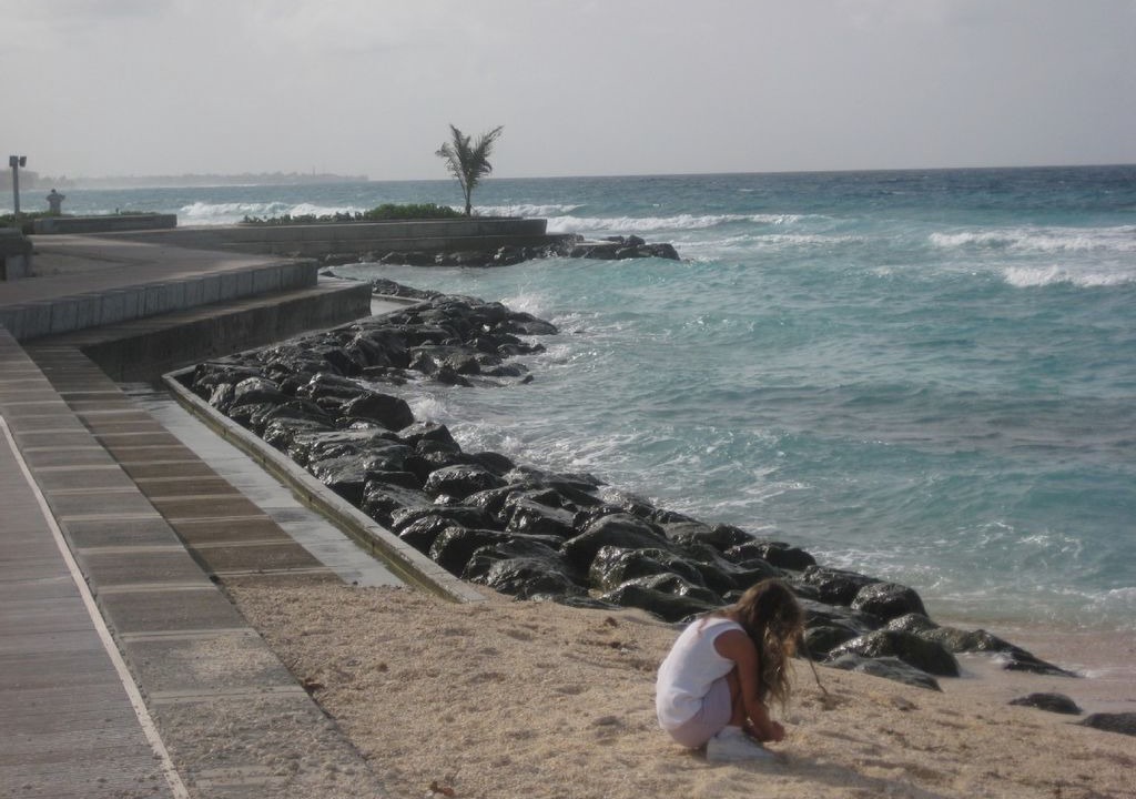 Photo of Others in Marine Gardens