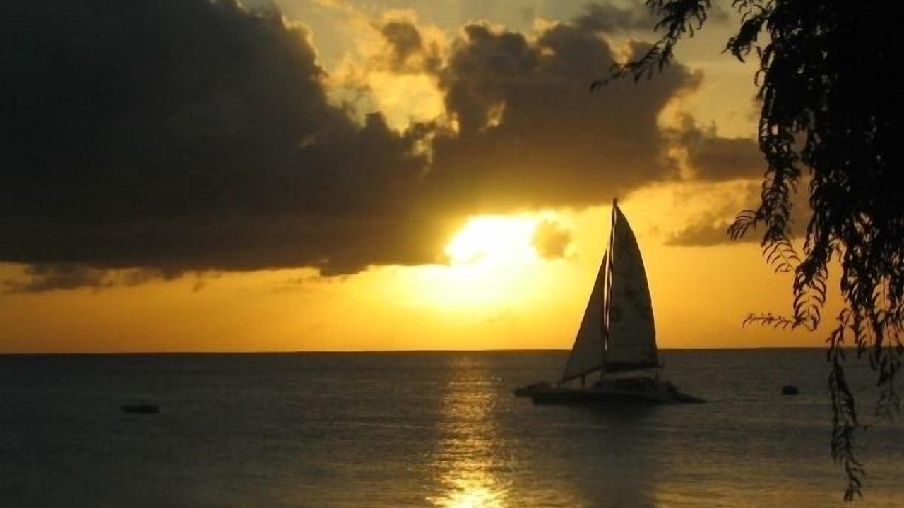 Photo of Others in Paynes Bay