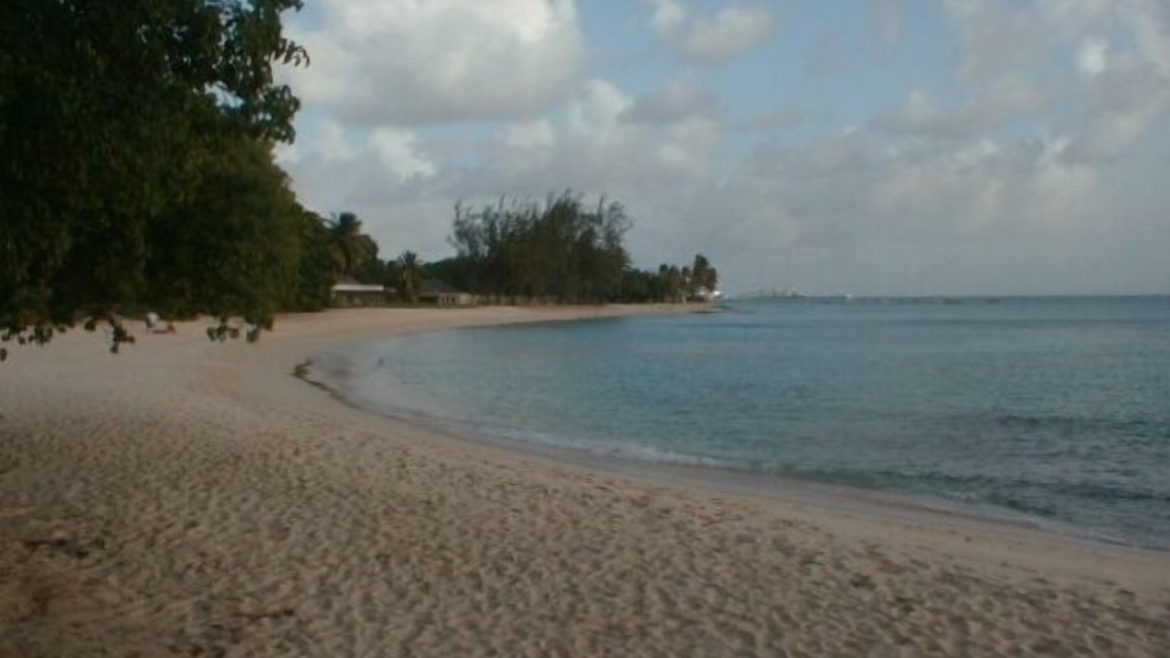 Photo of Others in Paynes Bay