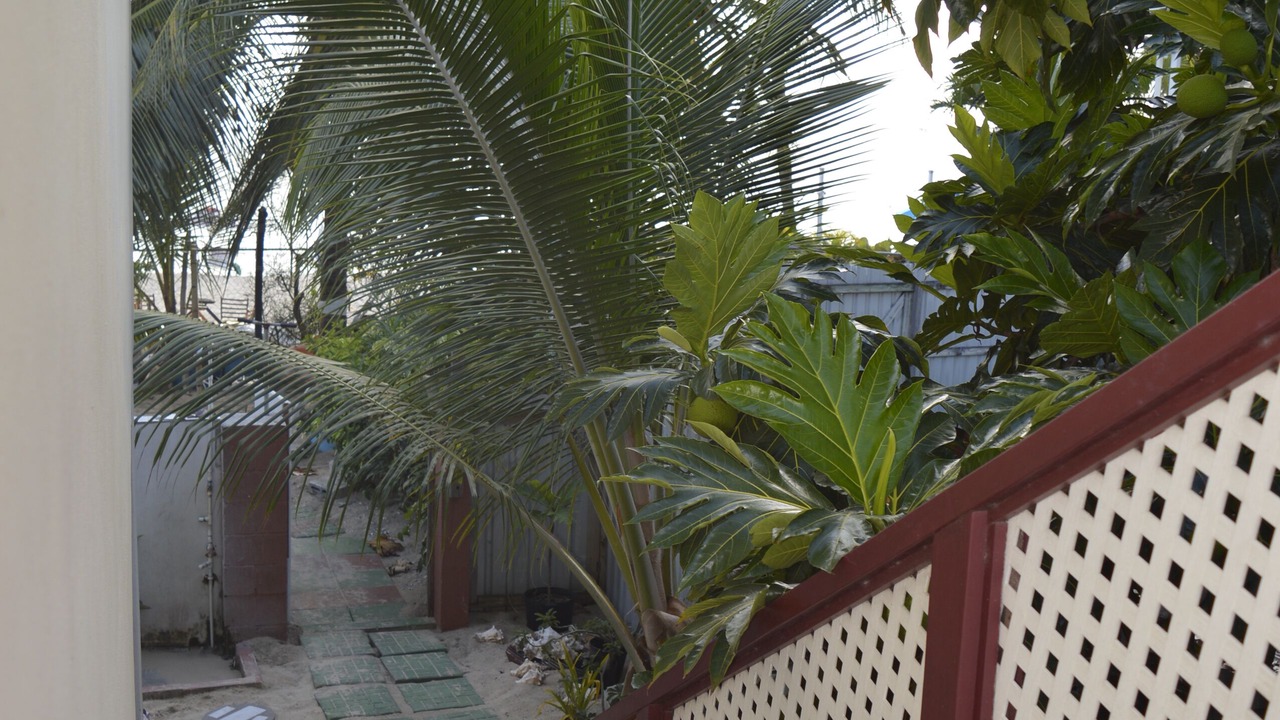 Photo of Outdoor in Paynes Bay