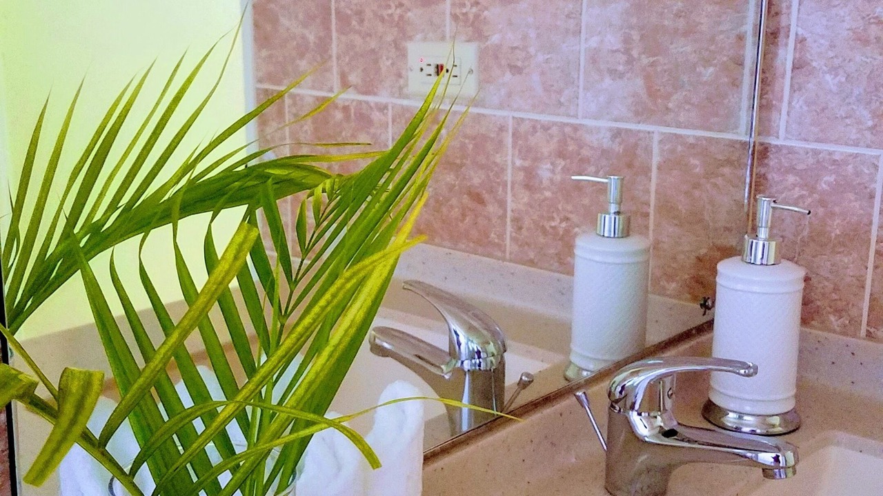 Photo of Bathroom in Oistins