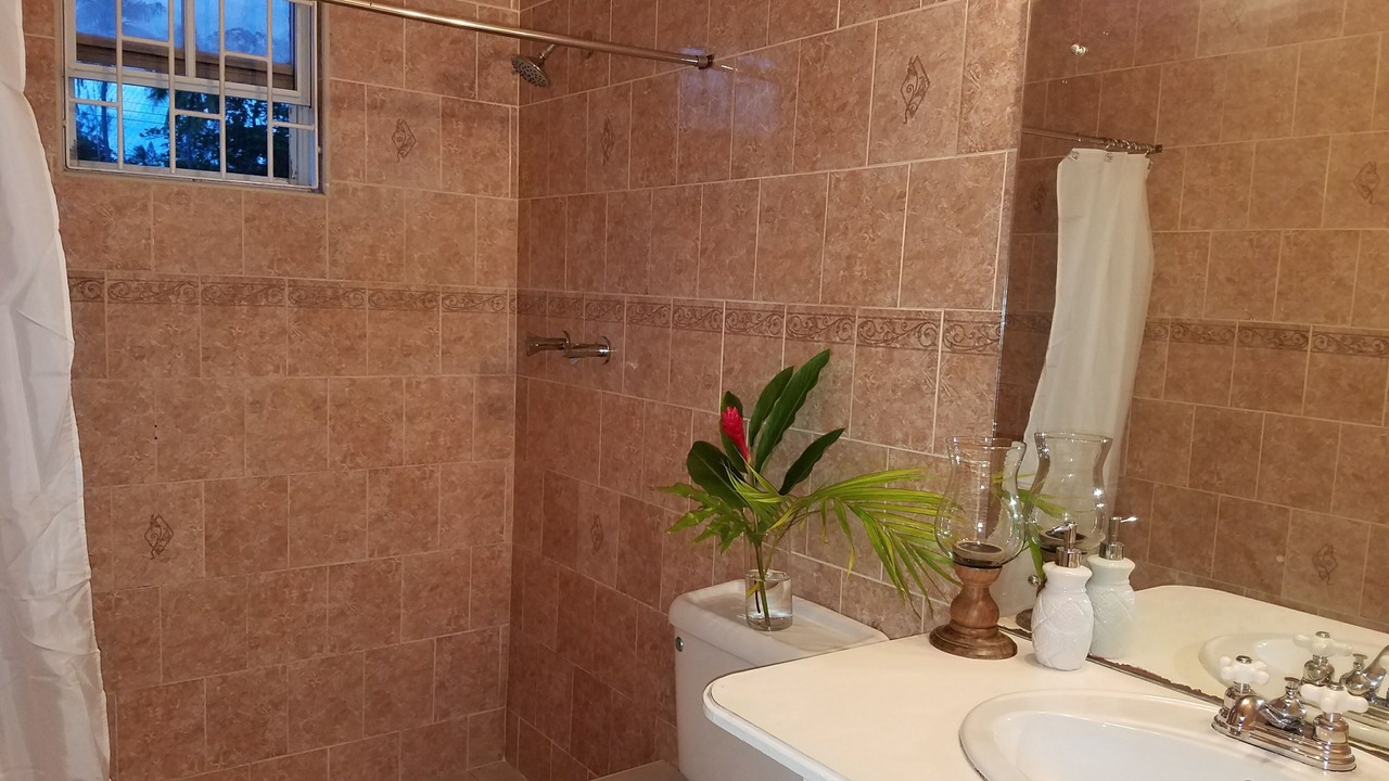 Photo of Bathroom in Oistins