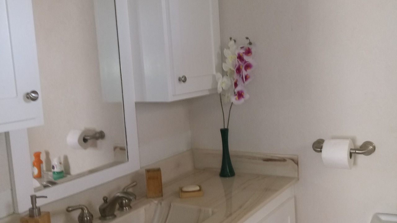 Photo of Bathroom in Mangrove