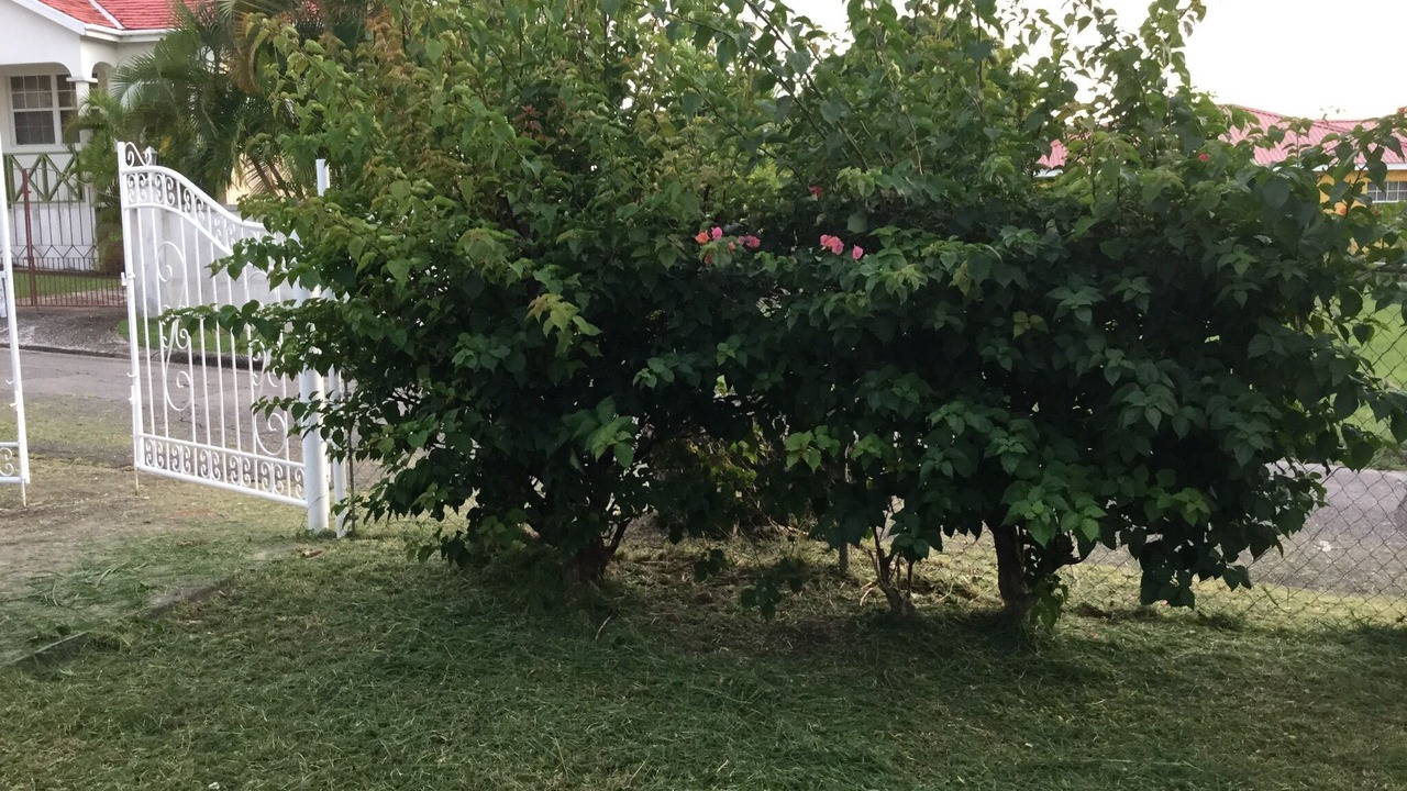 Photo of Outdoor in Douglas
