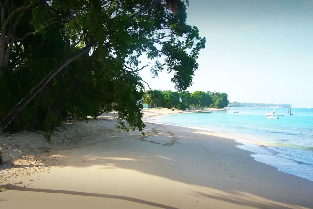 Photo of Others in Reeds Bay
