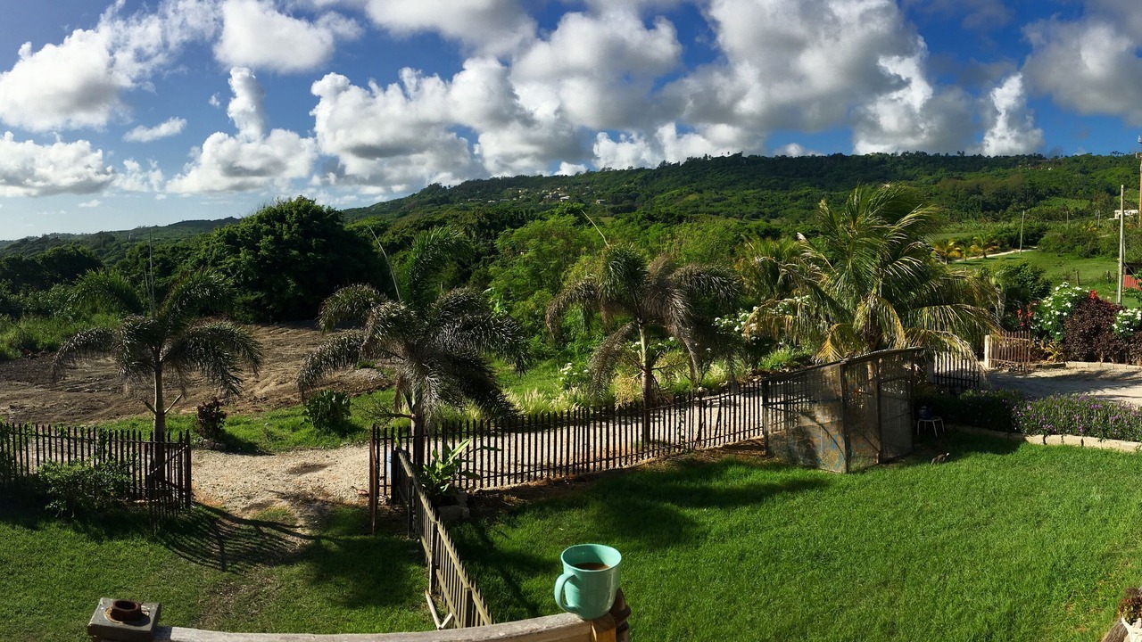 Photo of Outdoor in Newcastle
