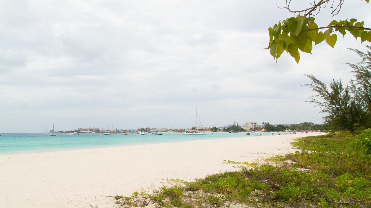 Photo of Others in Bridgetown