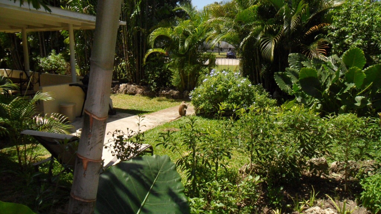 Photo of Outdoor in Sunset Crest