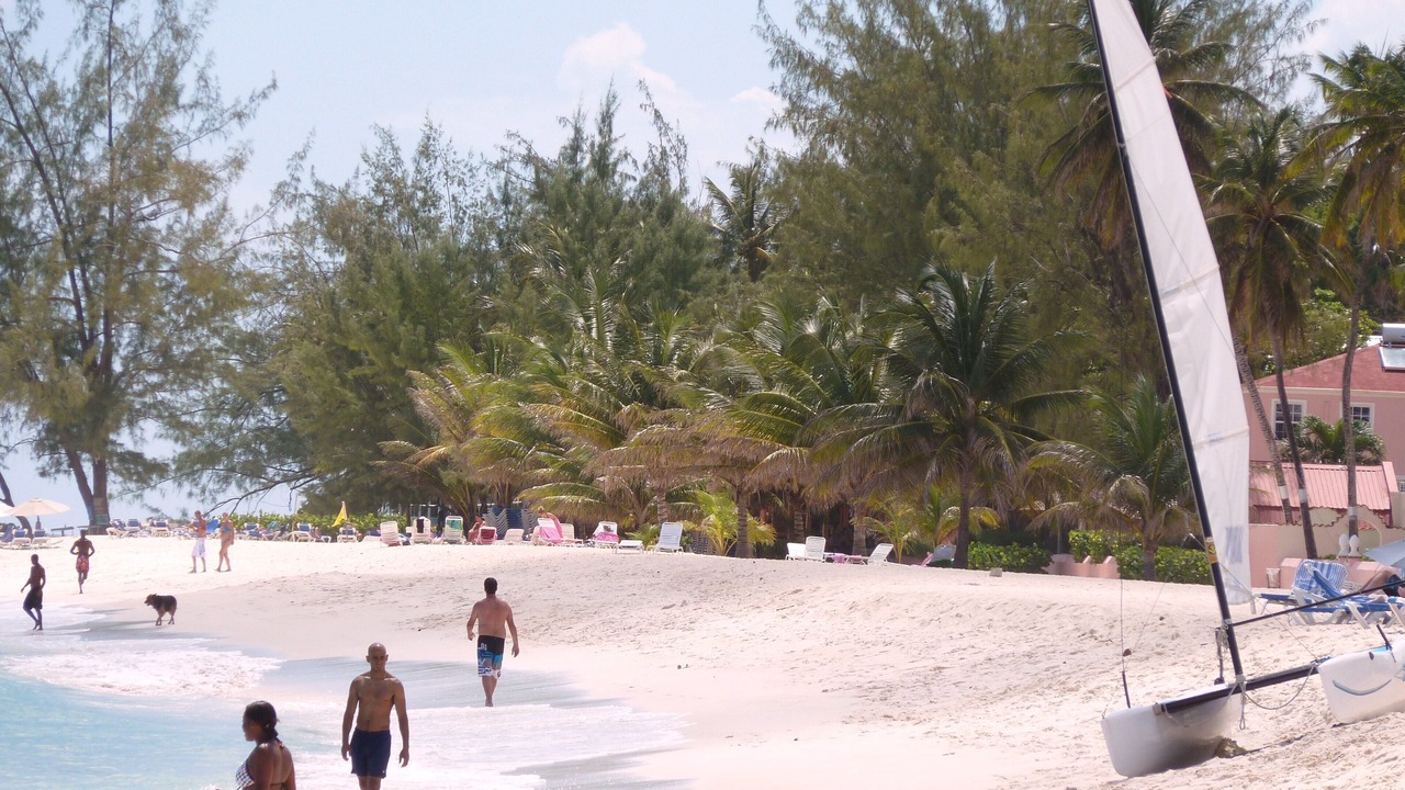 Photo of Others in St. Lawrence Gap