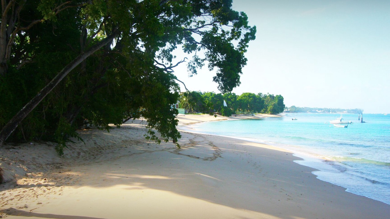 Photo of Others in Reeds Bay