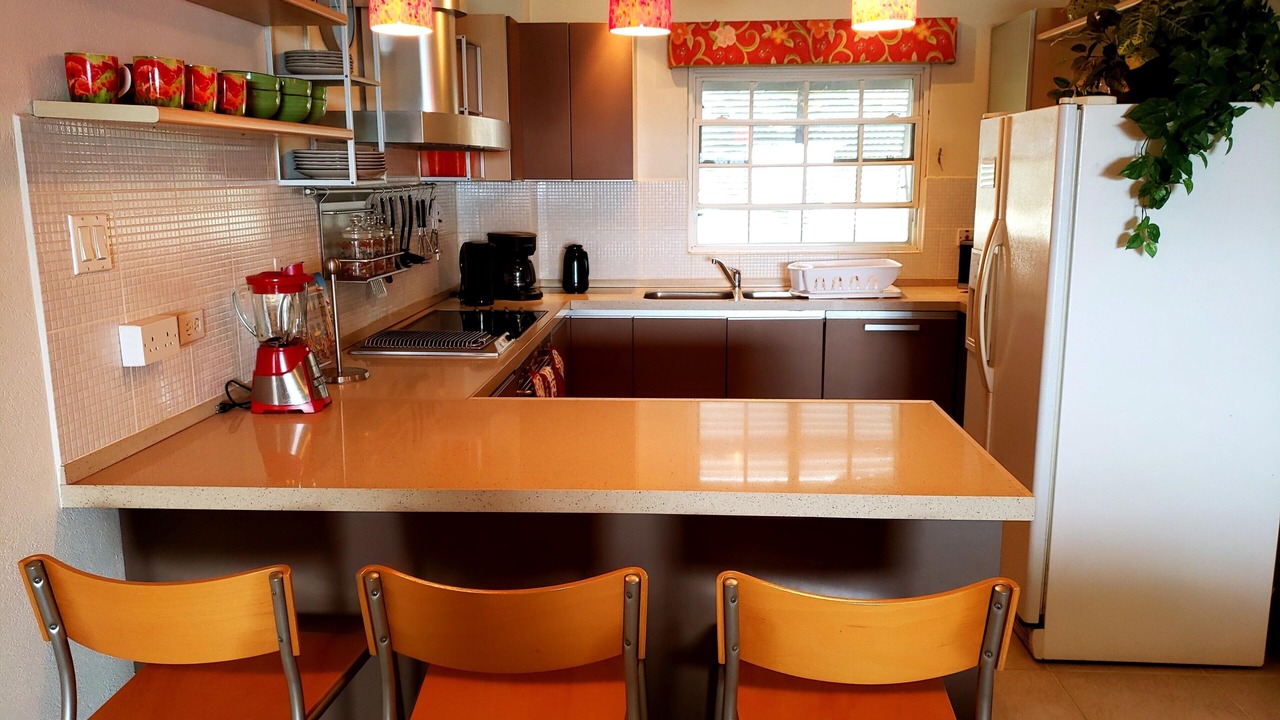 Photo of Kitchen in St. Lawrence Gap