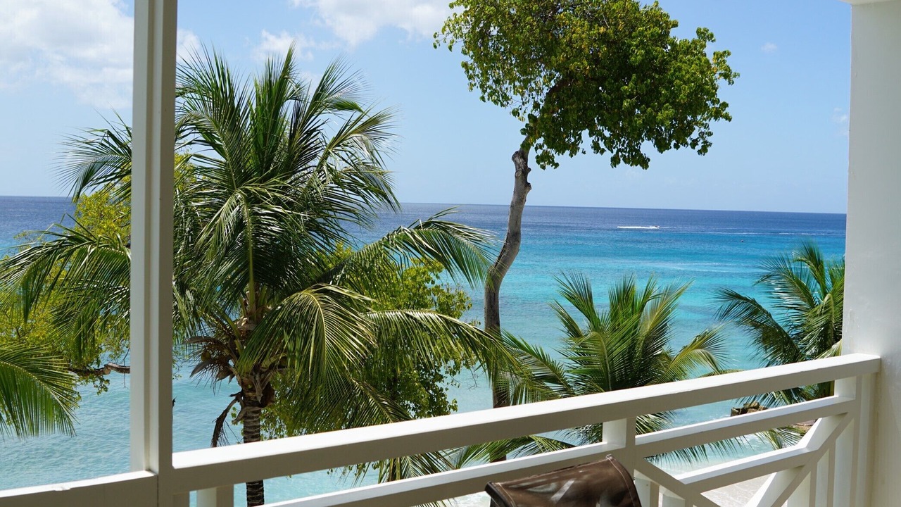 Photo of Outdoor in Old Trees Bay