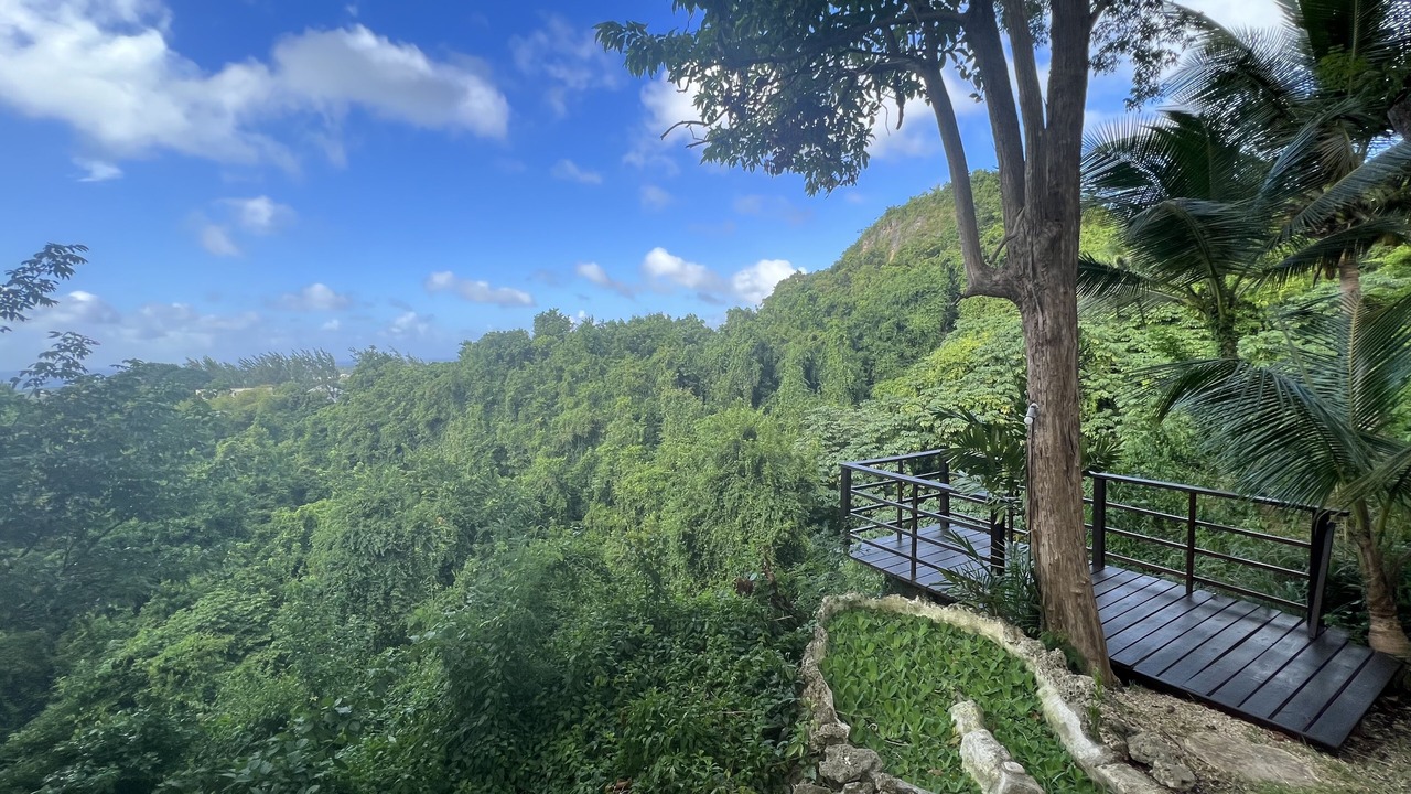 Photo of Outdoor in White Hall