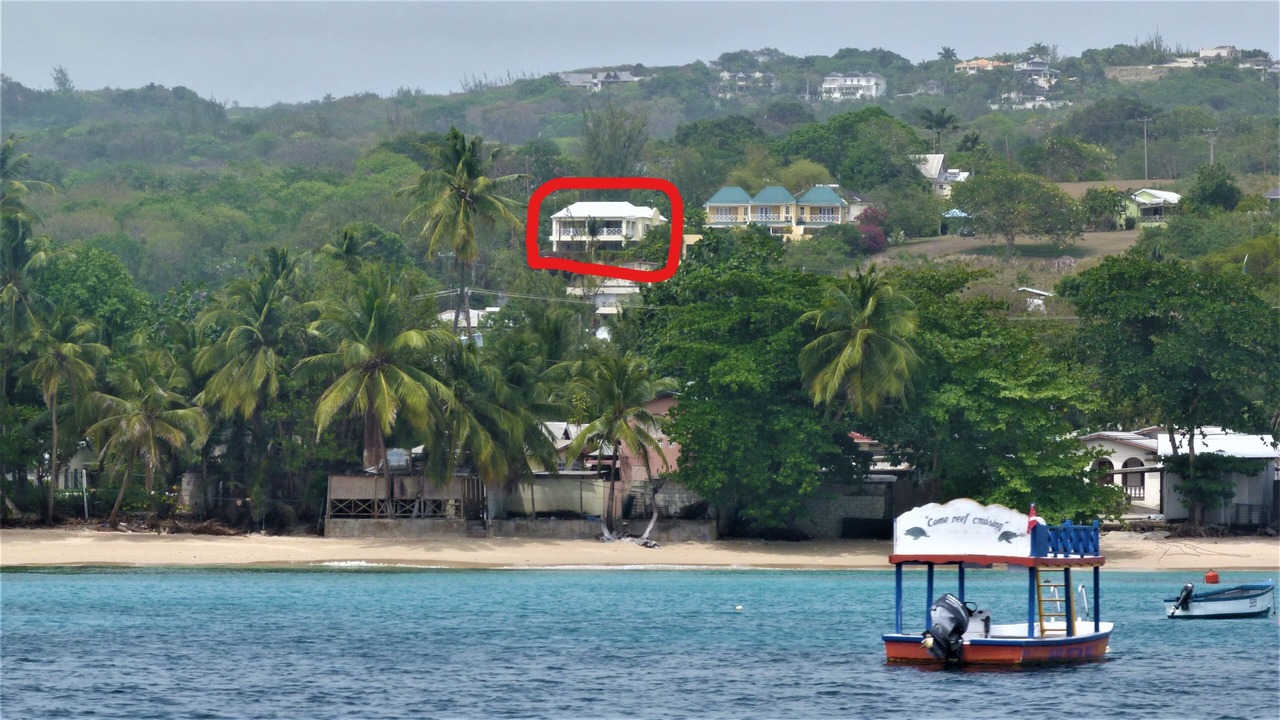 Photo of Others in Lower Carlton Beach