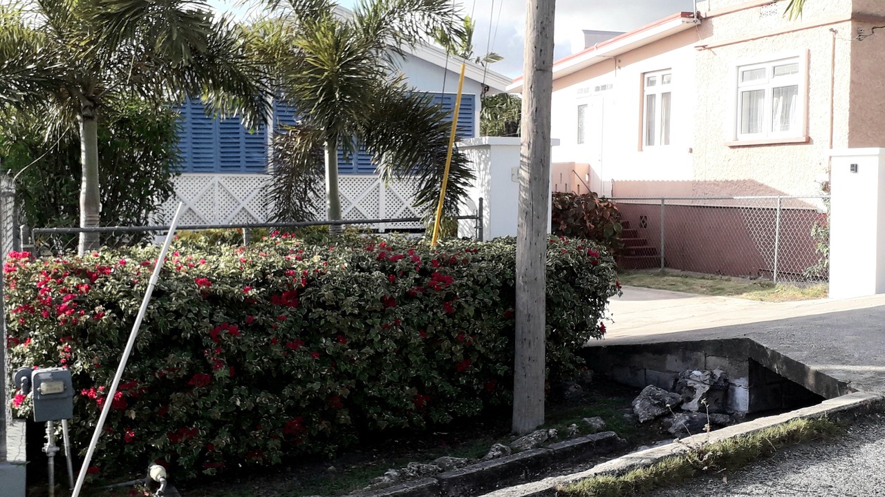 Photo of Outdoor in Oistins