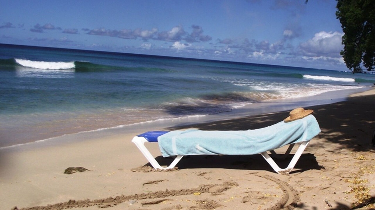 Photo of Others in Reeds Bay