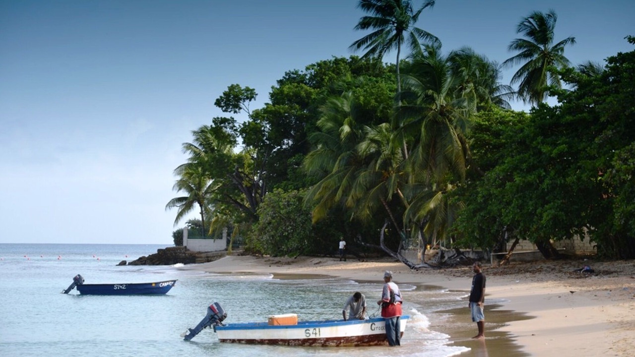Photo of Others in Reeds Bay