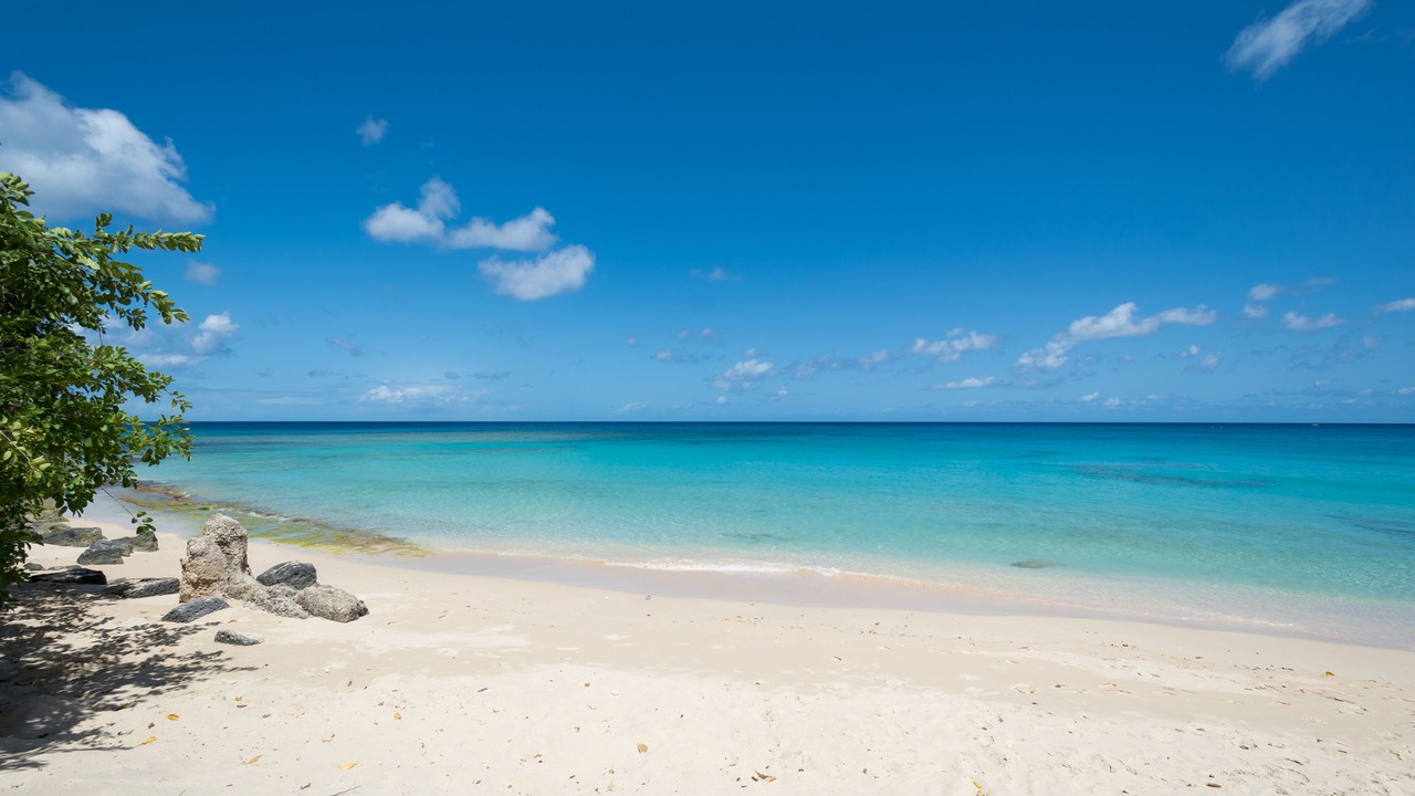 Photo of Others in Reeds Bay