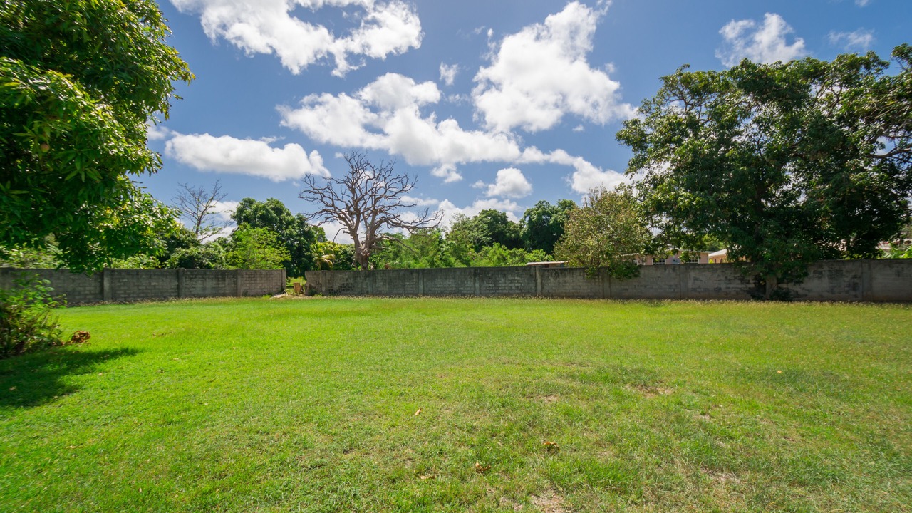 Photo of Outdoor in Reeds Bay