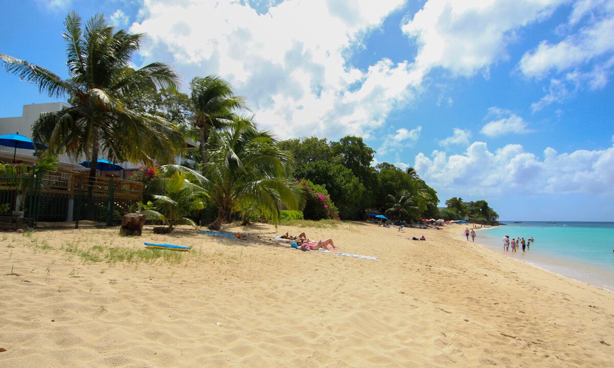 Photo of Others in Weston
