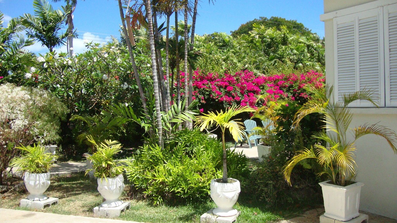 Photo of Outdoor in Sunset Crest