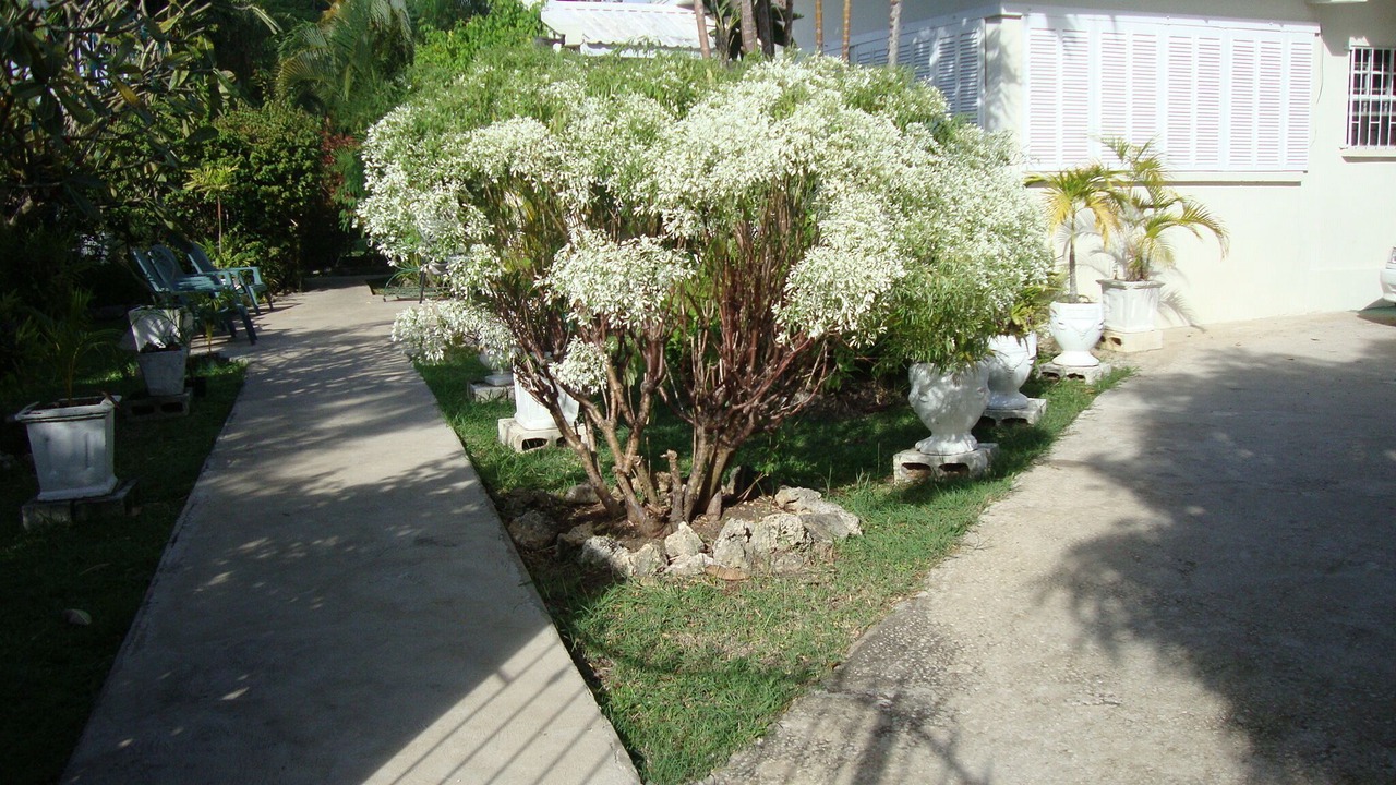 Photo of Outdoor in Sunset Crest