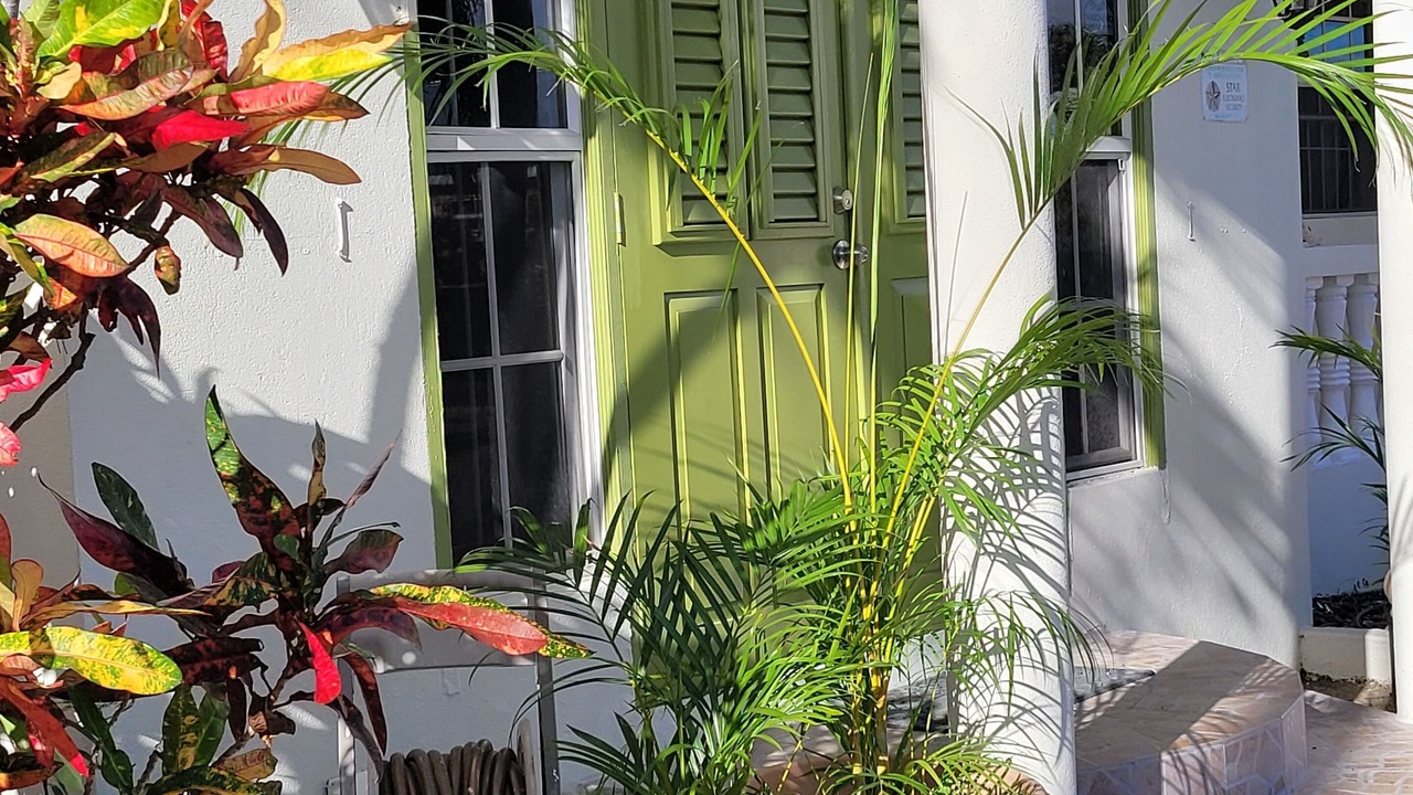 Photo of Outdoor in Atlantic Shores