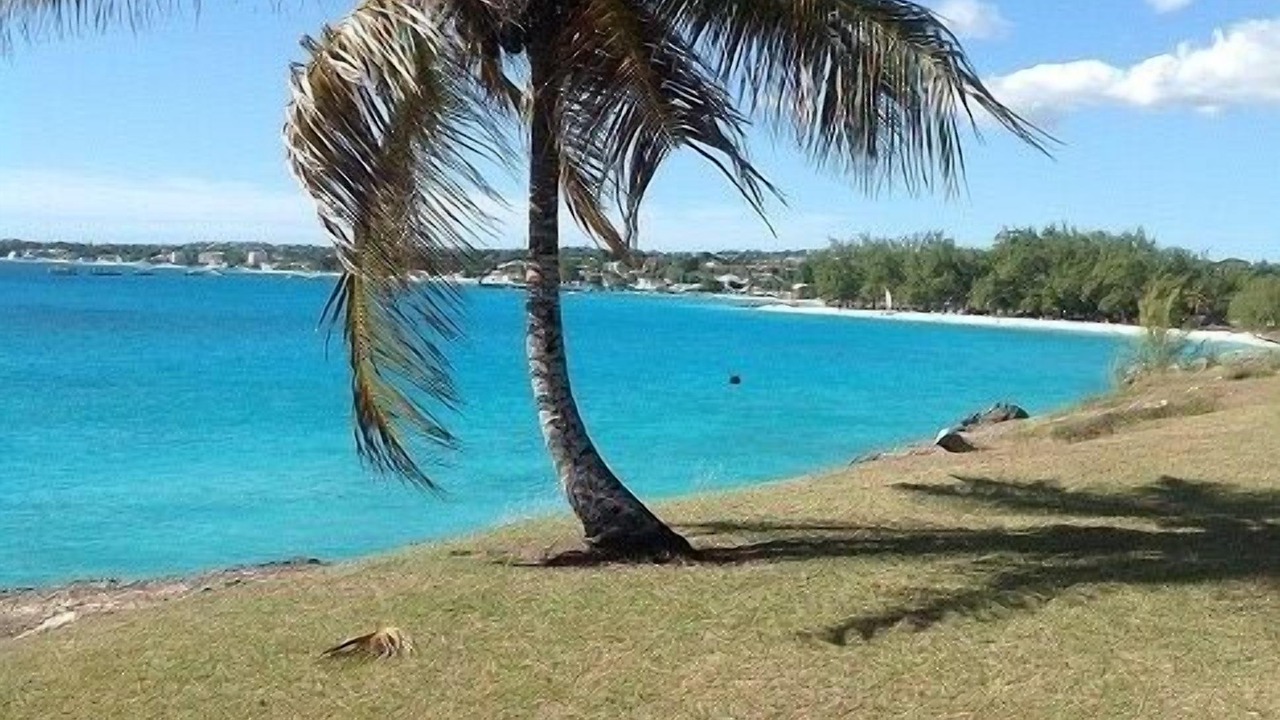 Photo of Others in Atlantic Shores