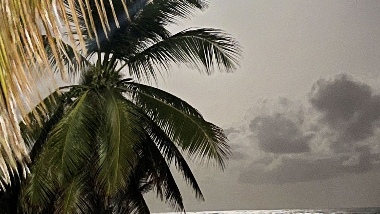 Photo of Others in Silver Sands