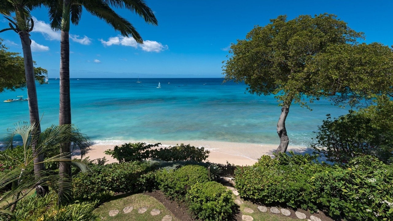 Photo of Others in Old Trees Bay