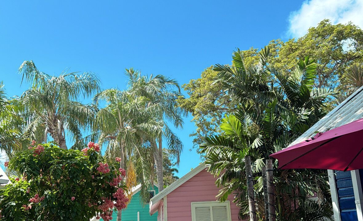 Photo of Outdoor in Old Trees Bay