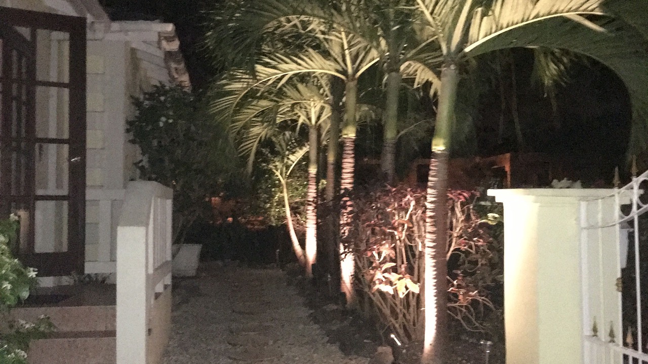 Photo of Outdoor in Old Trees Bay
