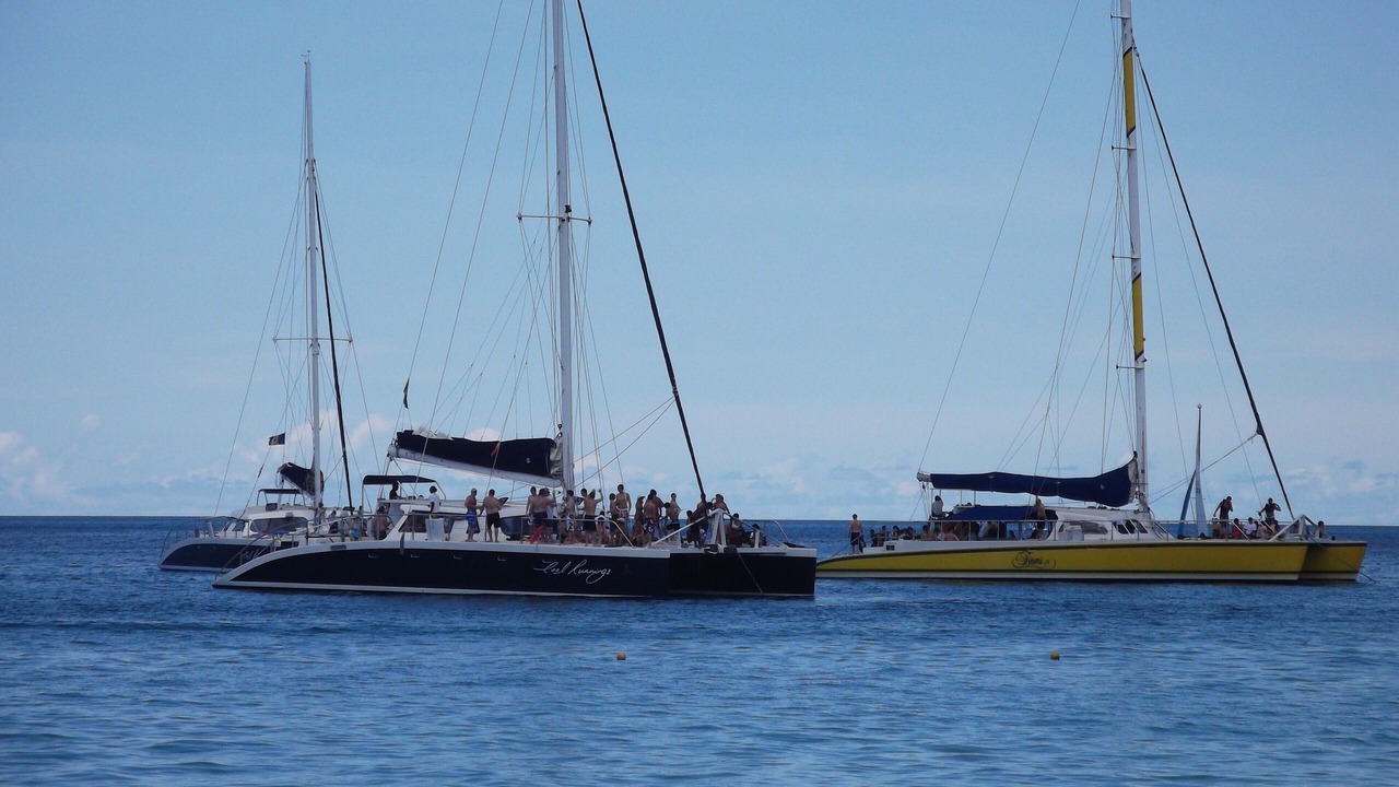 Photo of Others in Old Trees Bay